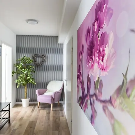 Deluxe Appartements Am Muenster Friburgo in Brisgovia Esterno foto