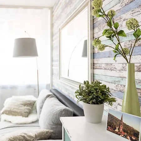 Deluxe Appartements Am Muenster Friburgo in Brisgovia Esterno foto
